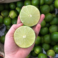 Export Van Verse Kalk Naar De Markt Van Dubai Met Een Verpakking Van 7 Kg/doos 84 976727907 Ms Carolina