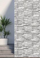 Carreaux muraux en porcelaine modernes résistants aux acides 300x600mm pour salle de bain, villa, façade de centre commercial