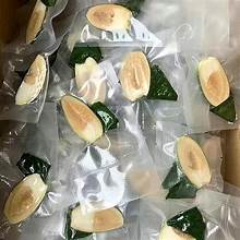 NOIX DE BETEL CONGELÉE DE HAUTE QUALITÉ POUR APPLICATIONS TRADITIONNELLES À BASE DE HERBES ET FABRICATION D'ALIMENTS FONCTIONNELS DE SANTÉ - Product Image 5