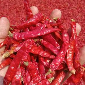 Piment rouge séché AD en vrac - Piment Guntur très fort avec tige - Qualité d'exportation indienne supérieure - Assaisonnement épicé pour usage alimentaire - Product Image 1