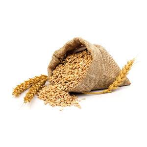 Calidad superior 100% Auténtico grano seco italiano 500g Espagueti en bolsa Pasta de trigo duro para cocinar - Product Image 6