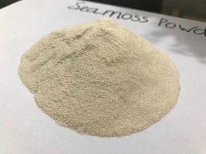 ผงที่มีคุณค่าทางโภชนาการสูง | ผงทะเลจากเวียดนาม - Product Image 5