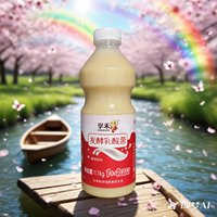 Boisson au yaourt concentré 1+5, probiotique fermenté aux bactéries lactiques, pour jus et thé, 12 bouteilles par boîte, approvisionnement direct usine