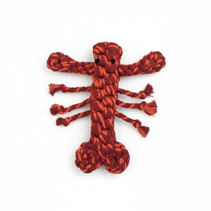 Jouet pour chien et chat Coral Pop Luxury, jouet en corde écologique qui couine, durable et plus épais pour jouer ou offrir en cadeau - Product Image 6