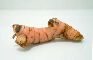 Gran cantidad de raíz de galanga orgánica 100% liofilizada para calidad de exportación de Vietnam con el precio más barato - Product Image 4