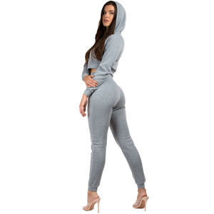 ชุดเซ็ตเสื้อฮู้ดดี้และกางเกงจ็อกเกอร์ผ้าฟลีซหนานุ่มสำหรับผู้หญิง ฤดูหนาว คุณภาพสูง ปักลาย พิมพ์โลโก้ตามสั่ง สไตล์ลำลอง แบบครอป - Product Image 2