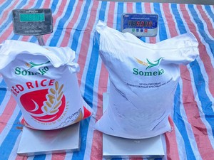 Fournisseur en gros de riz rouge biologique offrant du riz complet nutritif pour l'exportation et l'utilisation culinaire - Product Image 6