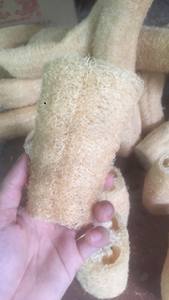 Éponge luffa séchée pour le nettoyage/luffa à vendre du Vietnam or 99 - Product Image 6