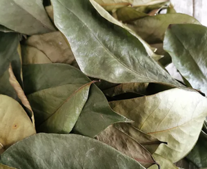 Premium Dried Soursop Leaves <b>Detox</b> Relaxation Tea <b>Supplements</b> Boosts Immunity Unique Agriculture Product - Product Image 6