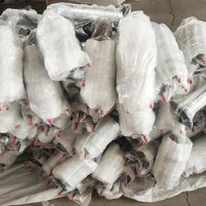 कार पार्ट्स सीधे फिट उत्प्रेरक कनवर्टर के लिए सीधे फिट उत्प्रेरक कनवर्टर कई गुना असेंबली यूरो 2 <span class=keywords><strong>3</strong></span> 4 5 6 - Product Image 4