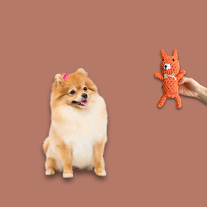 Jouets à mâcher faits main écologiques pour chiens et chats, en corde, en latex, vinyle et coton, styles modernes et classiques, pour le jeu, pour animaux de compagnie et lapins - Product Image 3