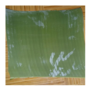 Hojas de plátano congeladas frescas-Hojas de plátano naturales estándar de exportación para envolver alimentos tradicionales y modernos - Product Image 2