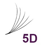 5D
