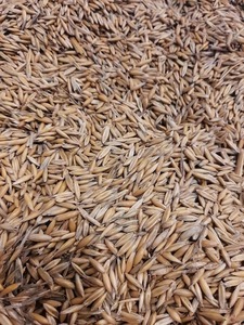 Mezcla de acabado de carne Gradde grado alimenticio para uso de perros - Product Image 4