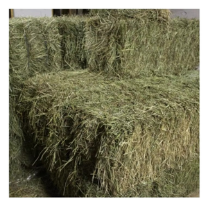 Heno de Alfalfa Verde Fresco de Primera Calidad, Alto en Fibra, Ingredientes 100% Naturales, Alimento Nutritivo para Ganado y Caballos, Vida Útil de 24 Meses - Product Image 1