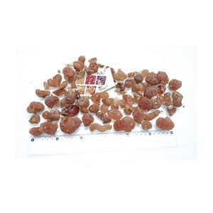 Acacia o Hashab, goma árabe - Product Image 1