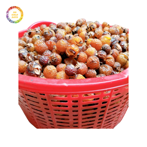 Exportation en vrac de noix de savon du Vietnam Grands résultats de nettoyage et prix abordable pour le marché international - Product Image 6