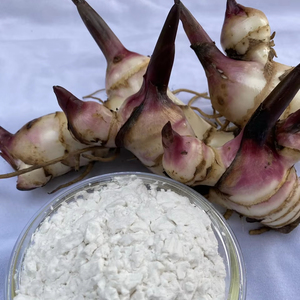 Almidón de Arrowroot Orgánico de Alta Calidad, Mejor Precio, Sabor Natural para Alimentos e Ingredientes, Envasado en Bolsa, Origen Vietnam - Product Image 1