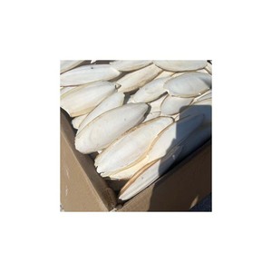 กระดูกปลาหมึกคุณภาพสำหรับนกคีรีบูน - Product Image 3