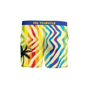 Élastique à séchage rapide été hommes maillot de bain hommes maillot de bain hommes été décontracté Surf maillot de bain Shorts - Product Image 3