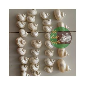 NAPKIN RINGS NATURAL SEASHELL DECORATION WHOLESALE LUXURY CRAFTS HOT SALE NAPKIN RING DESIGN 99 GOLD DATA VIETNAM - Product Image 1