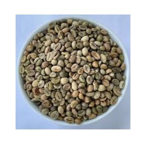 โรบัสต้าออร์แกนิกสีเขียวจากเวียดนามกาแฟอาราบิก้าแปรรูปแบบเปียกหลากหลาย - Product Image 3