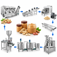 Le procédé industriel de fabrication ORME de tahini fait la ligne de production de beurre croustillant prix de la machine à pâte d'arachide