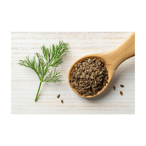 Bulk <b>dill</b> <b>seed</b> offered for sale to herbal product companies - Product Image 1