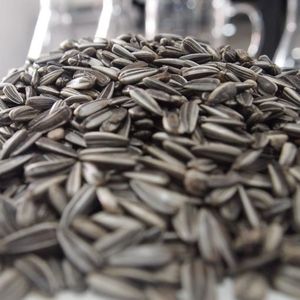 เมล็ดทานตะวันอบแห้งออร์แกนิค - Product Image 1