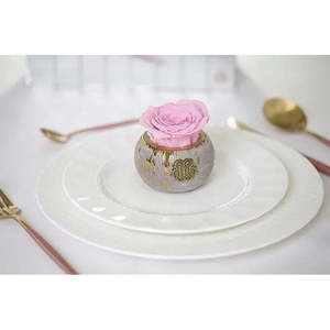 Mini for Tiffany Luxury Rose Preserved Natural Roses for Valentine's Day and Mother's Day Gifts - Product Image 2
