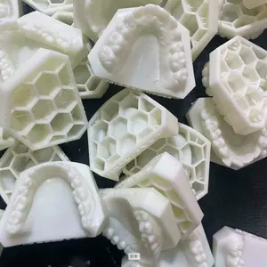 מותאם אישית שיניים 3D דפוס שרף שרף שיניים מודל