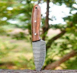 Cuchillo de Damasco hecho a mano para exteriores con mango de palisandro hoja fija Funda de cuero para caza y Camping compatible con OEM - Product Image 1