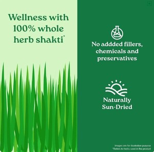 100% certified organic young wheat <b>plant</b> leaves Wheatgrass Powder traditionally valued in Ayurveda - Product Image 6