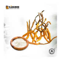 Poudre de corps fruiteur d'Ophiocordyceps Sinensis LiGNO OCS02 – Complément Adaptogène pour le Bien-être – Extrait Naturel Fonctionnel OEM ODM