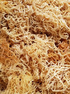 Eucheuma Cottonii/ มอสจากเวียดนาม - Product Image 5