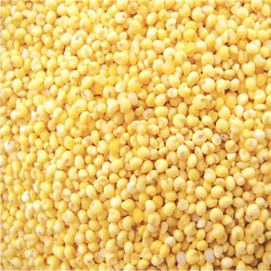 Thailand <b>MILLET</b> GRAIN BULK SUPPLY HIGH QUALITY NATURAL HEALTHY GRAIN - Product Image 5