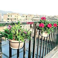 Paniers suspendus Pot de fleurs support de plante sans Pots pour balustrade clôture balcon jardin maison intérieur extérieur