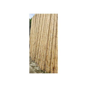 Tube de poteaux en bambou naturel pour l'aménagement paysager et le jardin Caractéristiques Tube de poteau en bambou droit et uniforme exportateur 99gd - Product Image 2