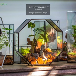 Terrario in Vetro Geometrico Ottagonale Grande Fatto a Mano per Insetti e Animali con Rete di Ventilazione (Solo Terrario) - Product Image 1
