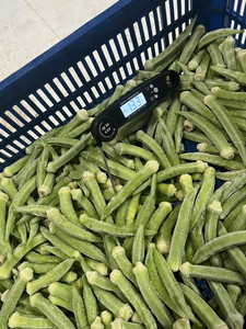 Okra congelada de alta calidad al mejor precio, deliciosas verduras listas para exportar a granel desde Vietnam - Product Image 2