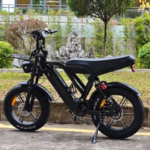Bicicleta Eléctrica SUPER X50PRO con Baterías Grandes, Ebike X50 de Dos Plazas, Motor de 250W, Bicicleta Eléctrica FAT - Product Image 1