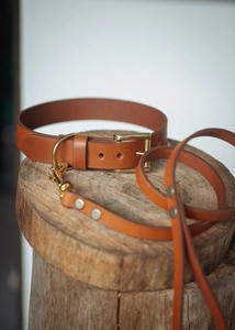 Conjunto de Collar y correa para perro, 30mm de ancho - Product Image 4