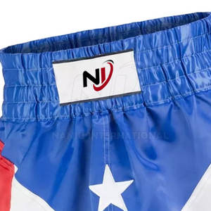 Durable Fight Wear Muay Thai Boxing Shorts 2025 Nueva llegada Soft Wear Men Muay Thai Shorts - Product Image 5