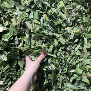 Feuilles de pandan séchées en vrac de haute qualité du Vietnam pour la cuisine - Product Image 3
