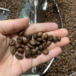 เมล็ดกาแฟคั่ว S18โรบัสต้าออร์แกนิค18 + หน้าจอสะอาดแห้งมากพร้อมส่งมี OEM รองรับ