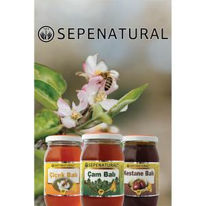 Miel de pin biologique naturel Sepe 480g en pot Mason |   Jus de pin turc de qualité supérieure, qualité alimentaire, 80% Brix, en vrac - Product Image 6