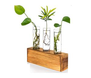 Vase en verre en bois élégant pour une utilisation de table Dernière arrivée Vase en bois avec tube en verre Finition naturelle d'aspect moderne de haute qualité - Product Image 5