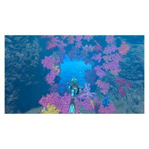 Endless Ocean Luminous para Nintendo Switch PEGI 3+ Videojuego Portátil NIN10013817 - Product Image 4