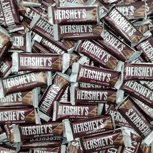 HERSHEY'Sミルクチョコレートスナックサイズキャンディーバー5ポンドバルクパッケージ