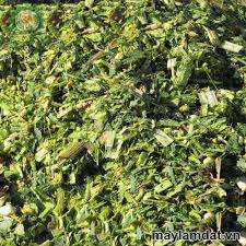 Exportation de maïs d'ensilage - Product Image 4